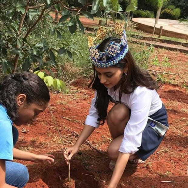 When in Brazil, plant a tree! 1