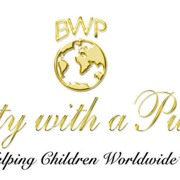 Miss World Trinidad & Tobago Contestants’ BWAP Projects 1